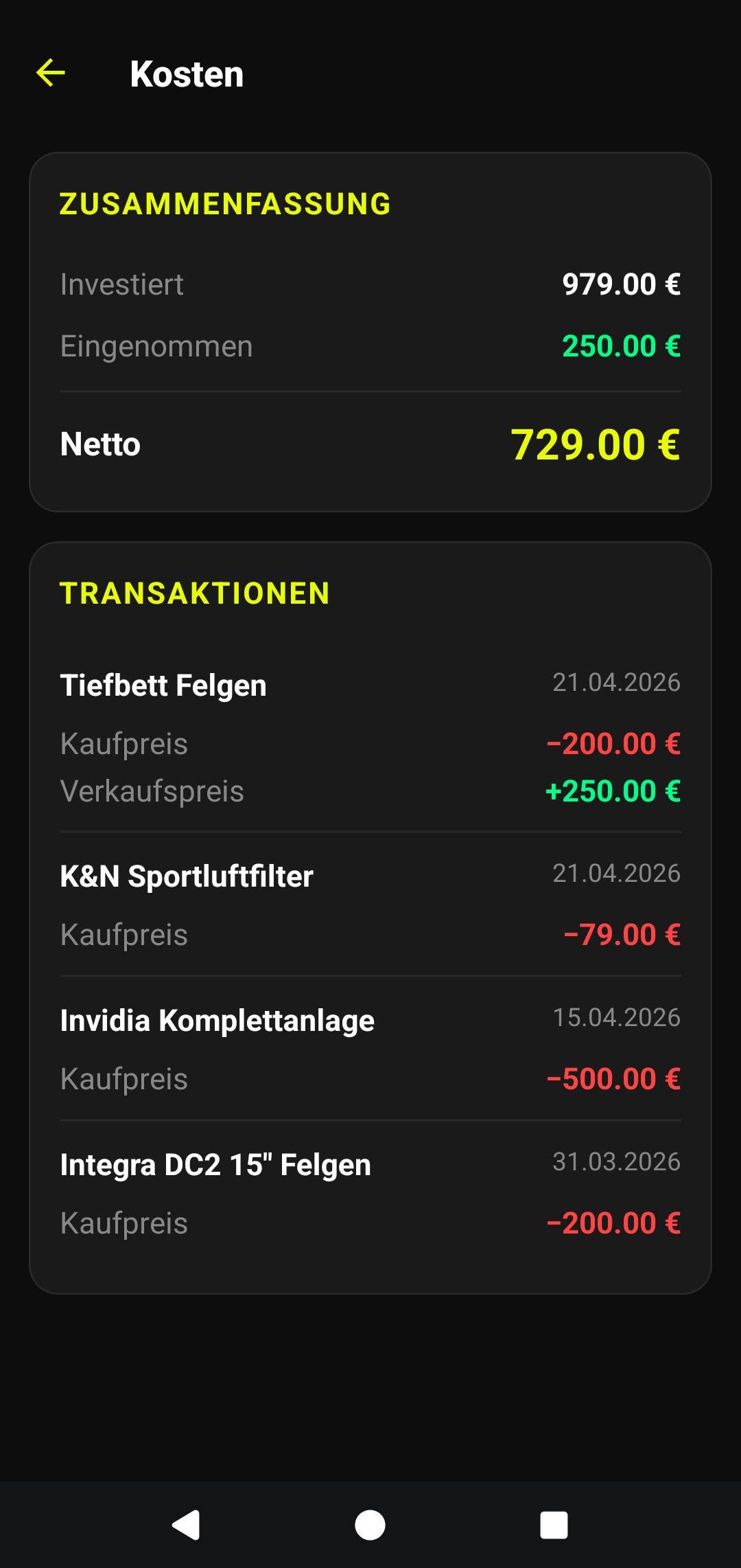 Kosten — Investitionen, Einnahmen und Netto auf einen Blick